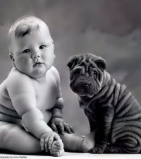 Baby Hund