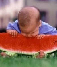 Baby Melone